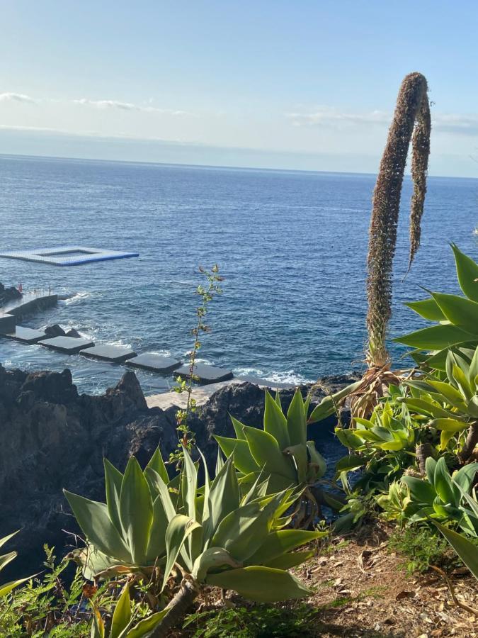 Seashell Caracas Funchal (Madeira) Exterior foto